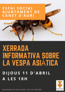 XERRADA INFORMATIVA sobre la vespa asiàtica