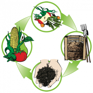 compost-cycle-3